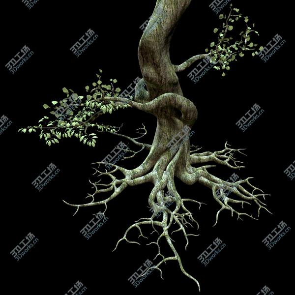images/goods_img/2021040233/Secular Tree/4.jpg